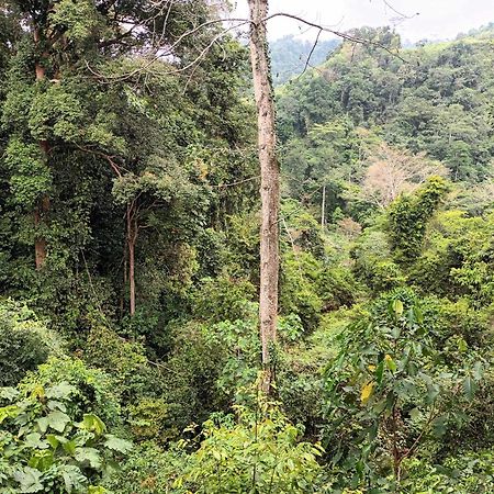 On The Rocks Bungalows, Restaurant And Jungle Trekking Tours Букит-Лаванг Экстерьер фото