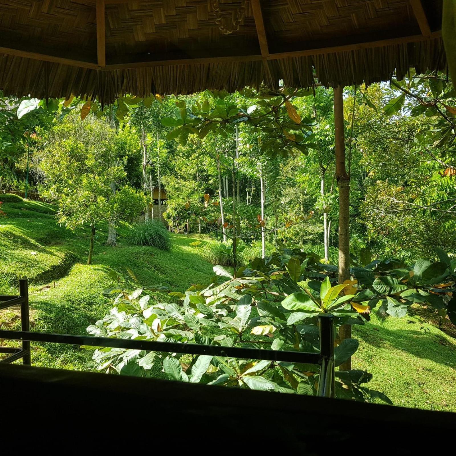 On The Rocks Bungalows, Restaurant And Jungle Trekking Tours Букит-Лаванг Экстерьер фото