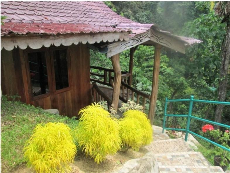 On The Rocks Bungalows, Restaurant And Jungle Trekking Tours Букит-Лаванг Экстерьер фото