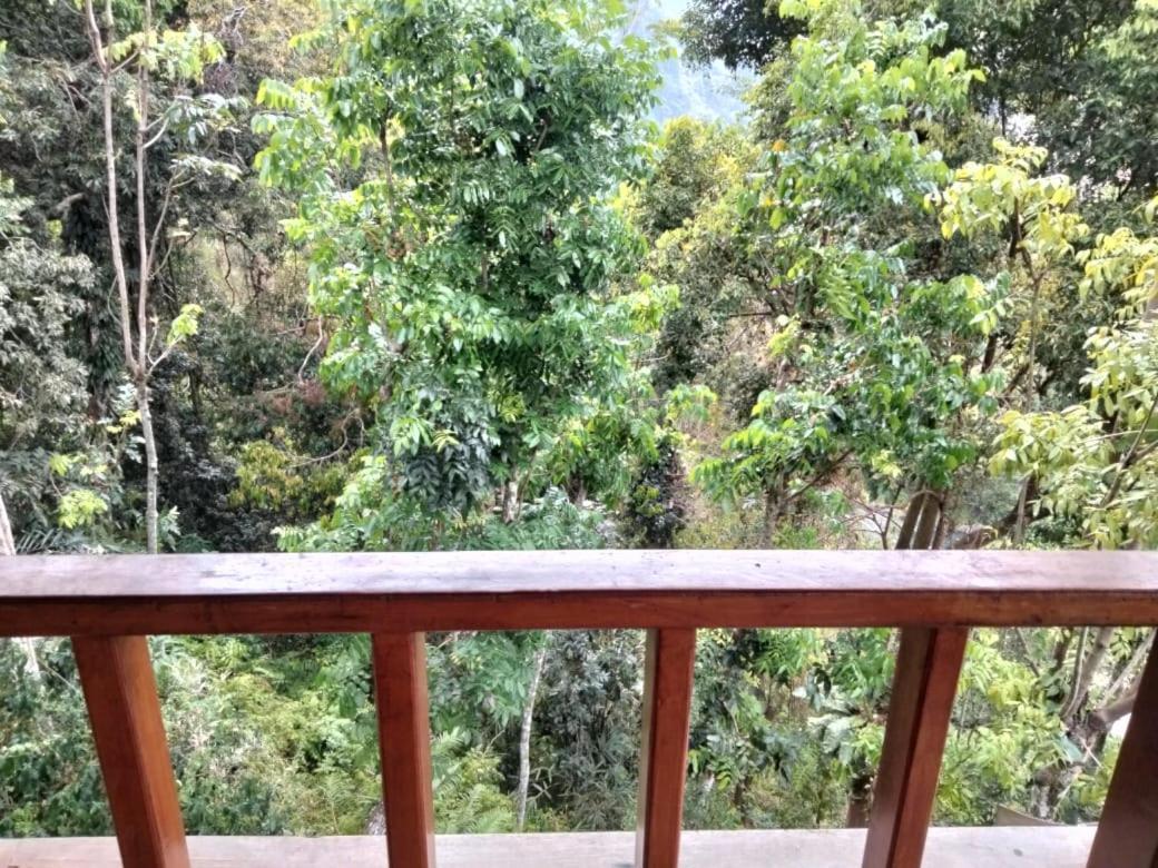On The Rocks Bungalows, Restaurant And Jungle Trekking Tours Букит-Лаванг Экстерьер фото