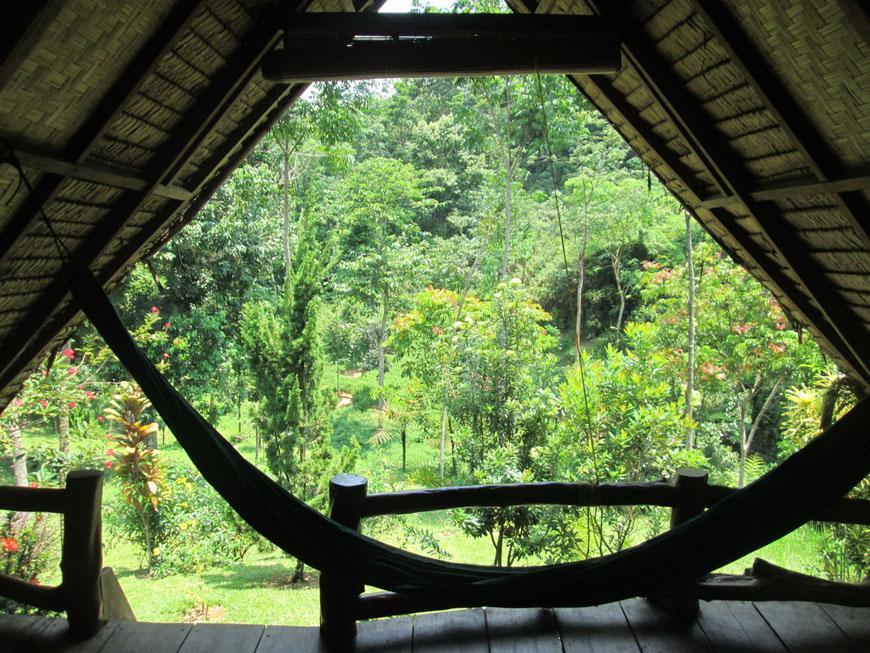 On The Rocks Bungalows, Restaurant And Jungle Trekking Tours Букит-Лаванг Экстерьер фото