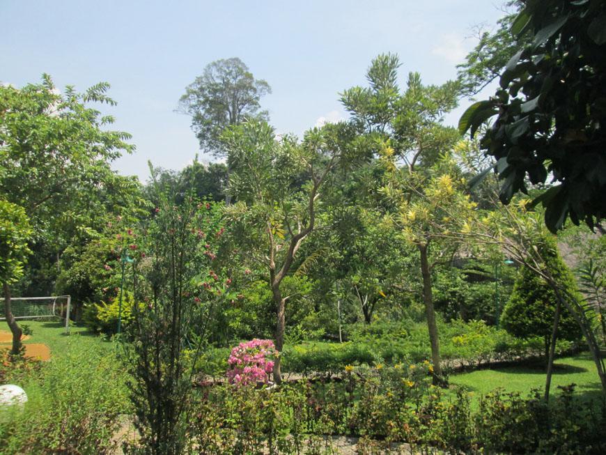 On The Rocks Bungalows, Restaurant And Jungle Trekking Tours Букит-Лаванг Экстерьер фото