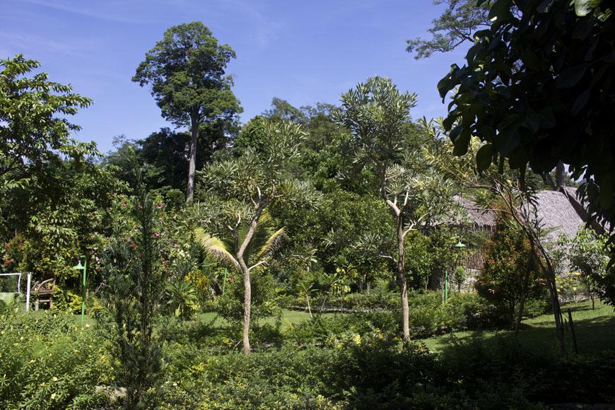 On The Rocks Bungalows, Restaurant And Jungle Trekking Tours Букит-Лаванг Экстерьер фото