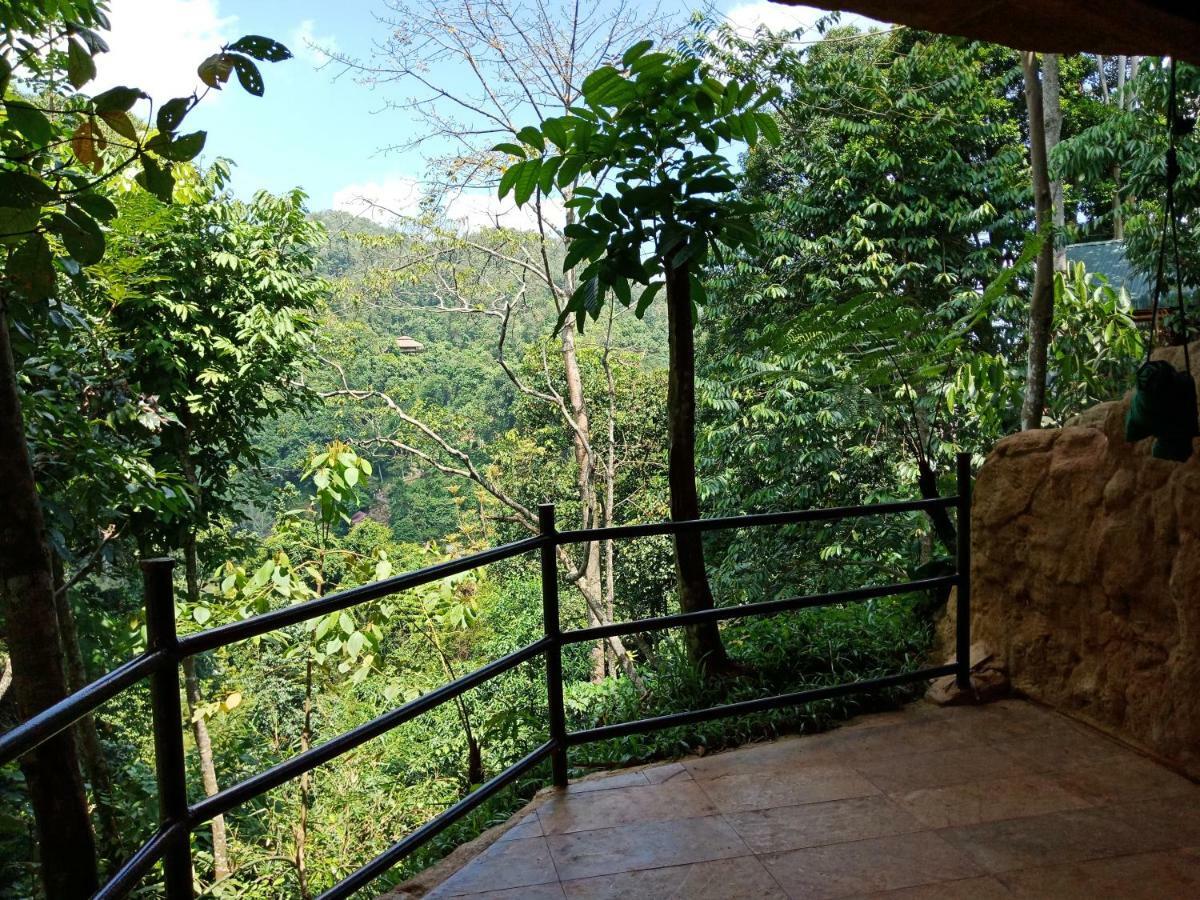 On The Rocks Bungalows, Restaurant And Jungle Trekking Tours Букит-Лаванг Экстерьер фото